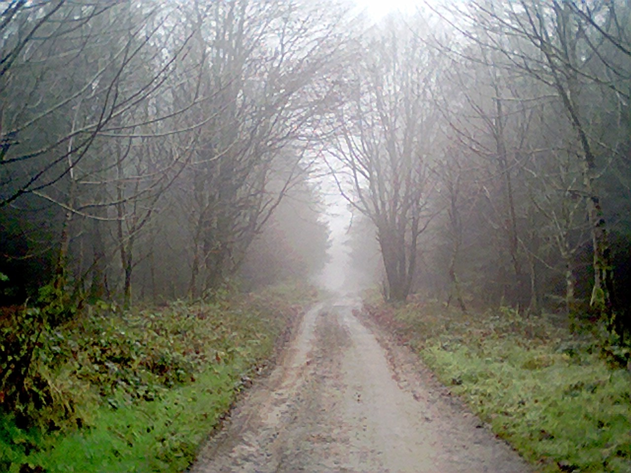 The approach to Cnoc Sagard in the morning fog